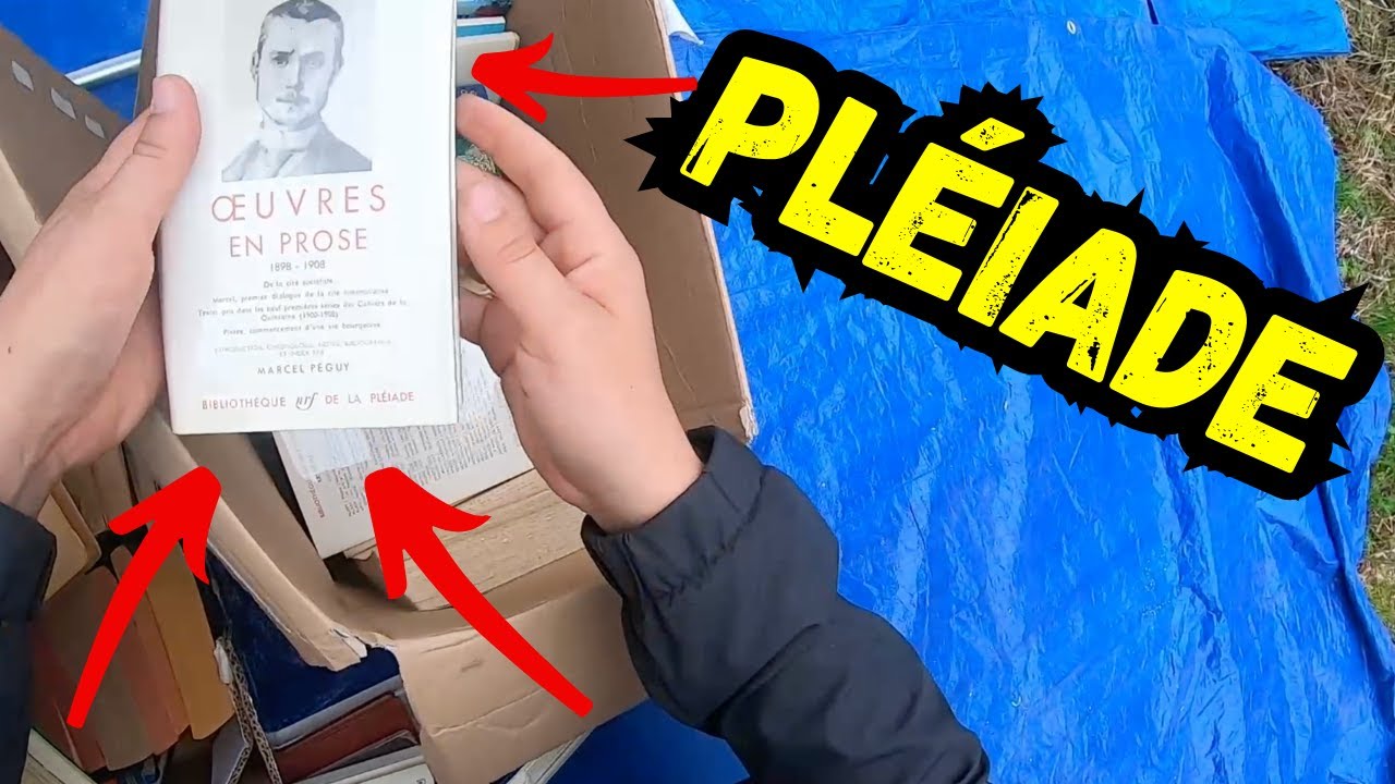 Il y en avait 3 au fond de la caisse ! Vide Grenier Gagnant !