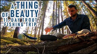 11-Day Wilderness Trout Fishing Trip | Solo Camping & Canoeing