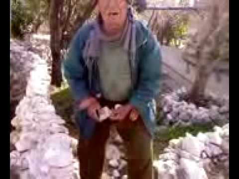 الدريكيش ابو عطا