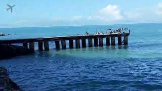 🇲🇽 Mexico - Hotel Tucan Siho Playa (5) #yucatan