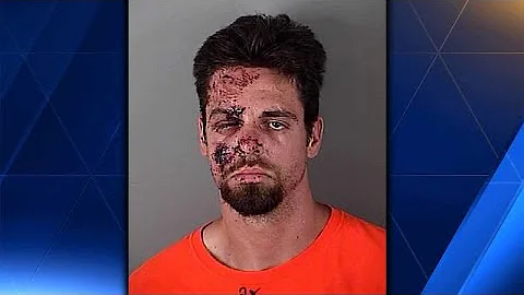 Driver Who Killed Good Samaritan Changing Tire Fou...