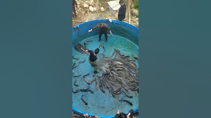 Fish farming pond with equipments