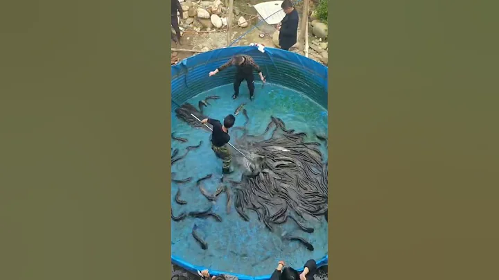 Fish farming pond with equipments - DayDayNews