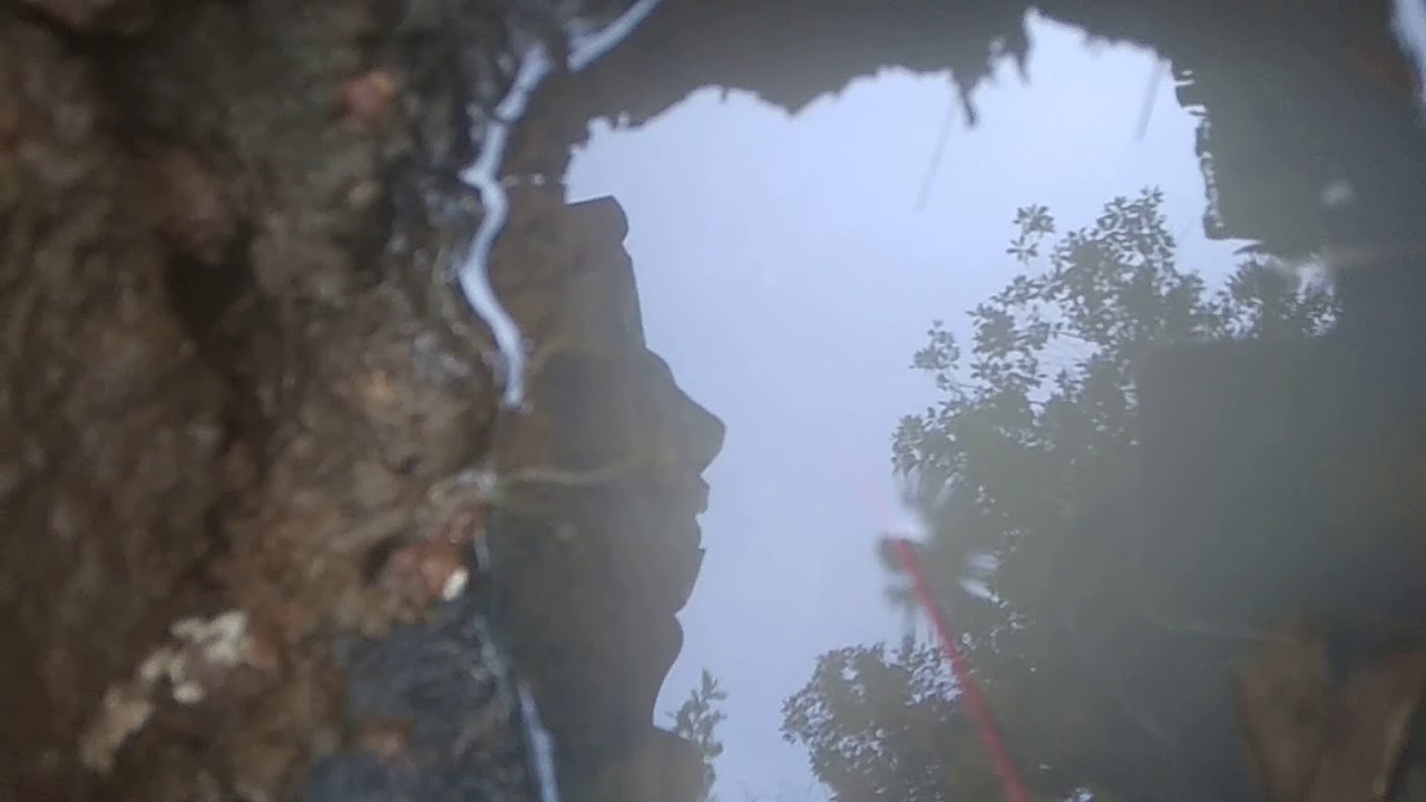 Mancing belut kolam, bawah batu. 