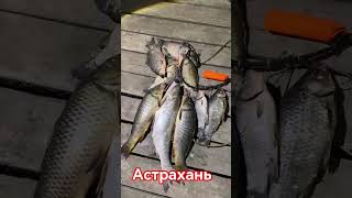 Астрахань - июнь 2025 г