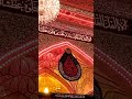 قصيدة زينب لفت يم حسين في دخوليه أحد المواكب