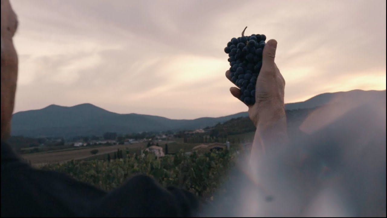 О винодельне Додичи