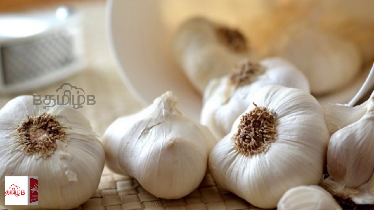 Great!!! Garlic cures Stomach Cancer. - YouTube