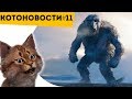 КОТОНОВОСТИ [11] ТРОЛЛЬ ТЕБЯ НЕ ПРОПУСТИТ, ЕСЛИ ТЫ НЕ СДЕЛАЕШЬ ЭТОГО | И #ФАКТЫ, КОТОРЫЕ НАДО ЗНАТЬ