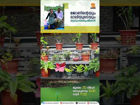 ജോണിന്റെയും ലാലിയുടെയും കൃഷി വിശേഷങ്ങൾ