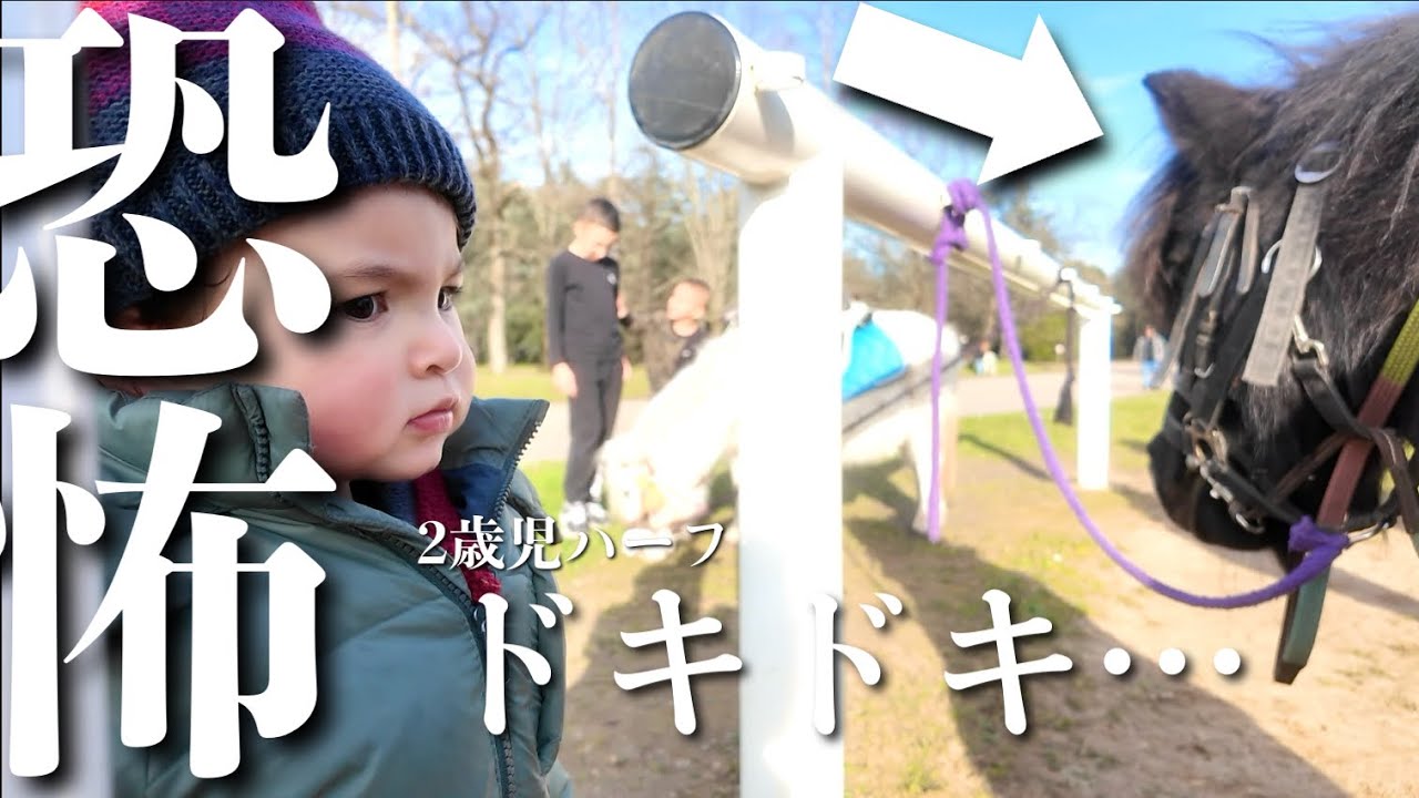 フランスの公園でまさかの体験!?ポニーにドキドキ…！