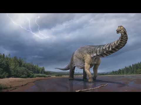 PeerJ talks to Dr. Scott Hocknull about a new giant sauropod, Australotitan cooperensis