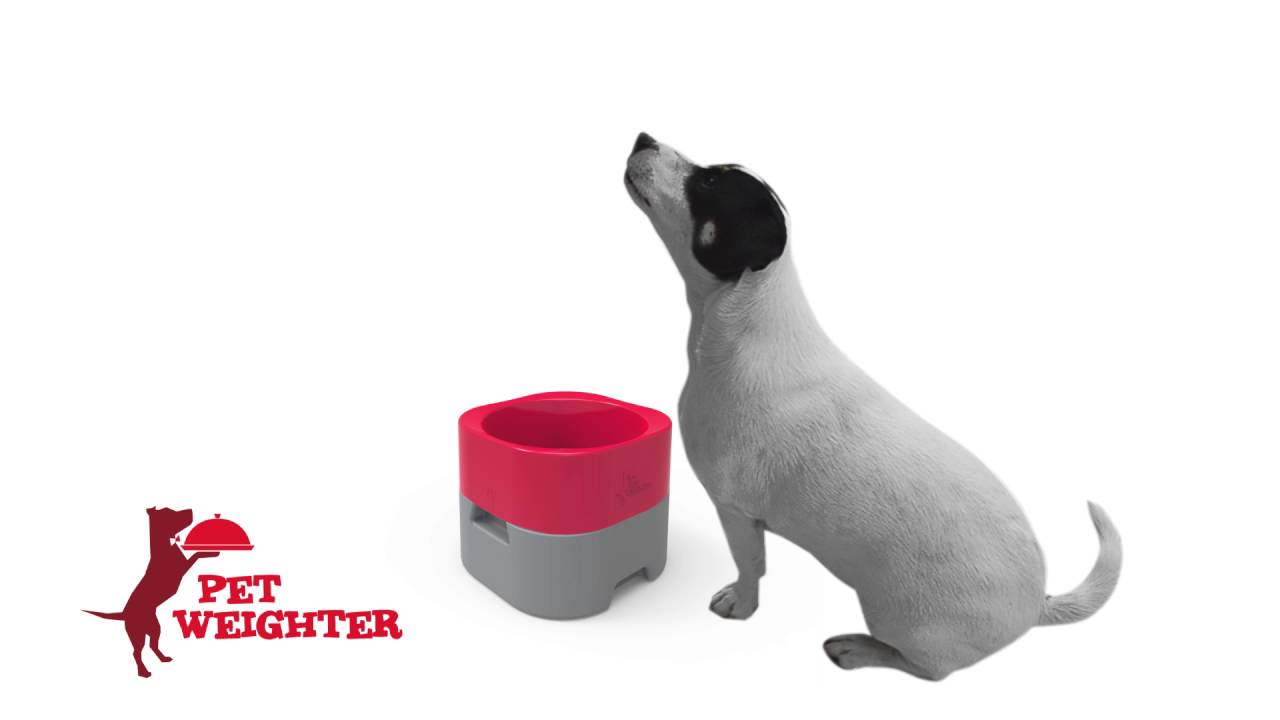 pet weighter