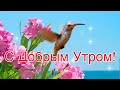 С Добрым Утром!🌺Хорошего Дня и Отличного Настроения!Красивая Музыкальная Открытка Пожелание!Чекалин!