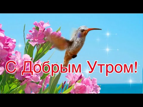 С Добрым Утром!🌺Хорошего Дня и Отличного Настроения! Сергей Чекалин!Музыкальная Открытка Пожелание!