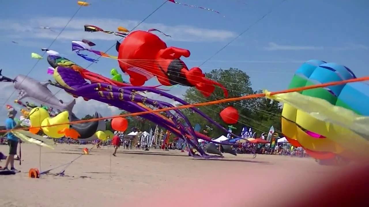 Kites Over Lake Michigan A Colorful Spectacle of Art, Recreation, and