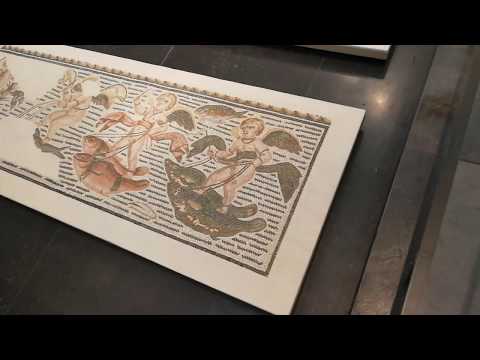 19 06 2018 فسيفساء حيوانات متحف اللوفر أبو ظبي