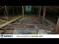   House Home Attic Insulation Installation - Budget pest control services