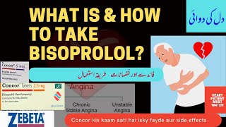 What is Concor ( bisoprolol) tablet Uses , dosage , Side Effects, Contraindications  in Urdu/ Hindi