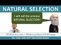 Understanding Evolution and Natural Selection