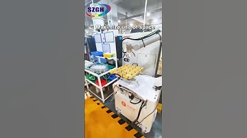 SZGH-BCK5 Combined Portable Workstation for Loading and Unloading Operations#industrial #robot