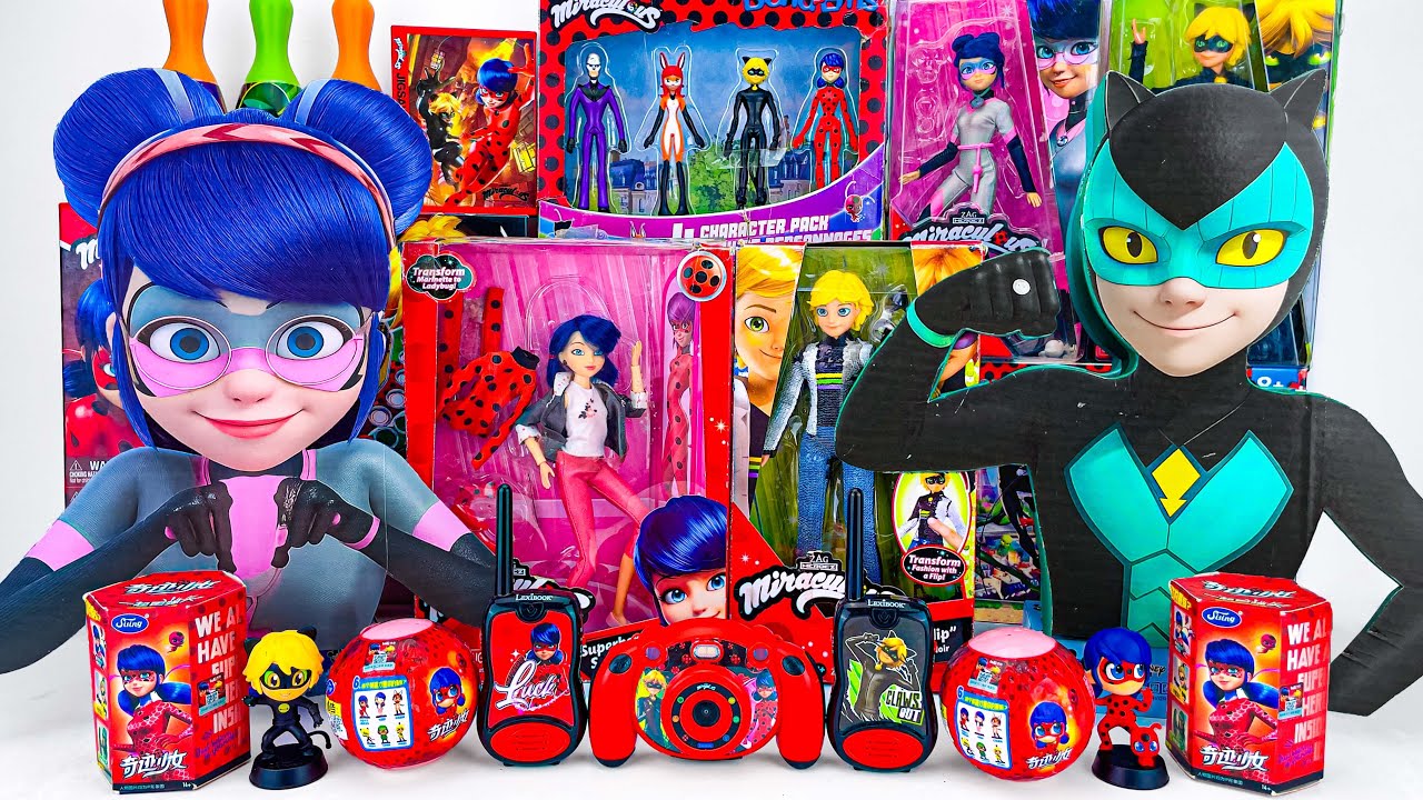 Miraculous Ladybug Toys Collection ASMR Unboxing Review | Mystery Cat Noir & Ladybug Surprise Boxes
