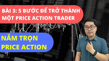 Nắm Trọn Price Action - Bài 3: 5 Bước Để Trở Thành Một Price Action Trader - Nhật Hoài Trader