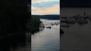 Exploring Henry Island: A Peaceful Escape in the San Juan Islands