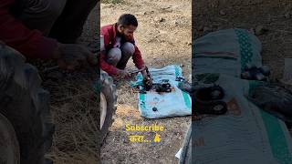 आज तर घोटाळ्यातच दिवस गेला#shorts #minivlog, #minivlogs, #minivlogger, #statemnd, #minivlogseries,