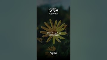 سورة الرحمن أيات تلامس القلوب وتبعث السكينة والتدبر | Surah Ar-Rahman Heart-touching Verses of Trn