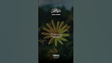 سورة الرحمن أيات تلامس القلوب وتبعث السكينة والتدبر | Surah Ar-Rahman Heart-touching Verses of Trn