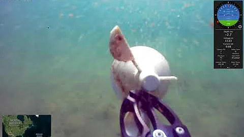 BlueROV2 collecting lost human-made objects