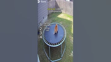 Open Ai Sora videos compilation #fypシ #shorts #funny