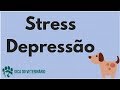 Cão Tem Stress e Depressão? Combater Evitar e Tratar. Agitado Quieto Apatico Prostrado Sem Comer