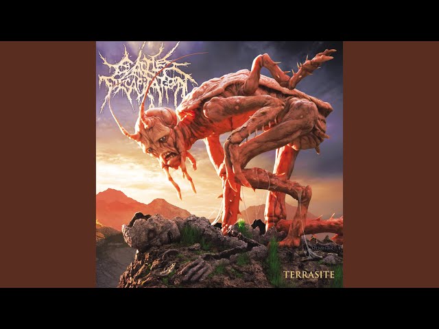 Cattle Decapitation - The Insignificants