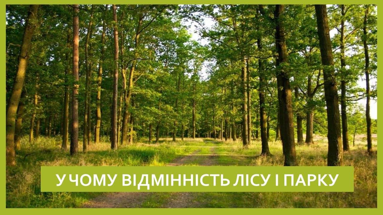 Пізнаємо природу 6 кл №54