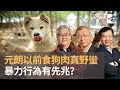 元朗以前食狗肉　真野蠻暴力行為有先兆？｜嚤囉街高談闊論（復刻版）｜林旭華、潘啟迪、鄭景鴻博士