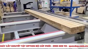 Máy Cắt Ngang Khuyết Tật OPTION Cấp Phôi Tự Động Quốc Duy | Máy Cắt Ngang Gỗ Tối Ưu 2024