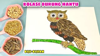 Membuat Kolase Burung Hantu Dari Biji Bijian Tugas Kelas 1 Tema 3 || Kolase Tema Hewan || Kolase