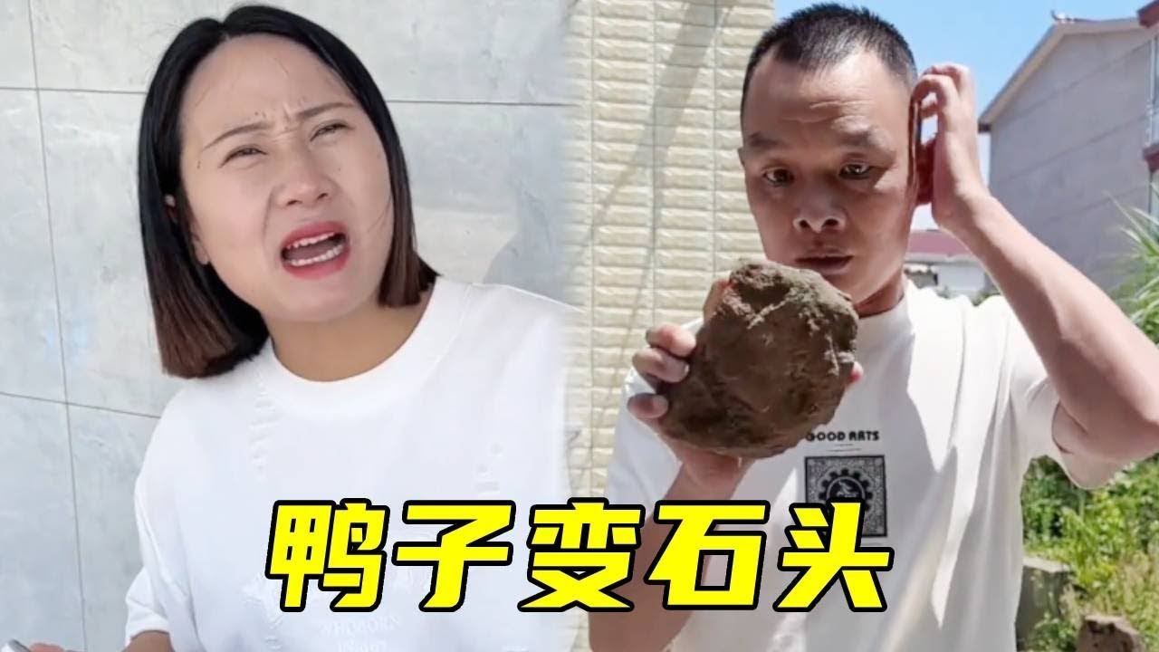 老表看到慧慧藏烤鸭，花巨资买下电饭煲，没想到鸭子直接变成了石头！