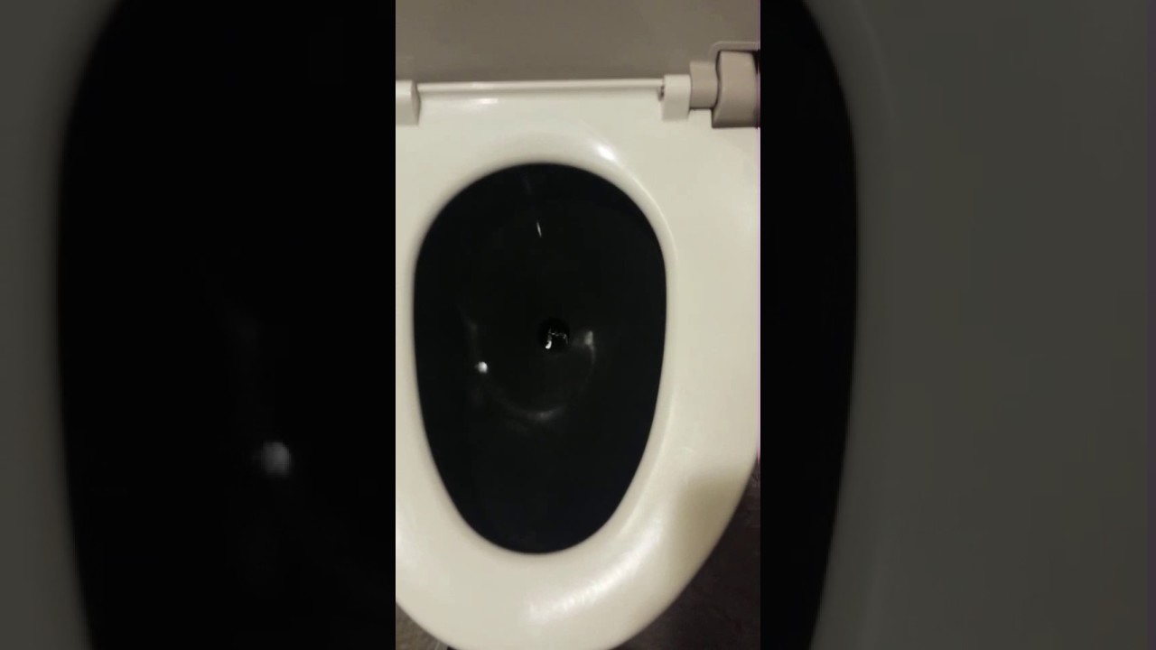 東海道新幹線 トイレの流す音 YouTube