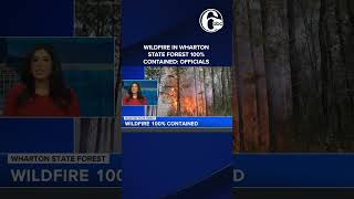 Wildfire in Wharton State Forest between Camden and Burlington counties 100% contained: officials