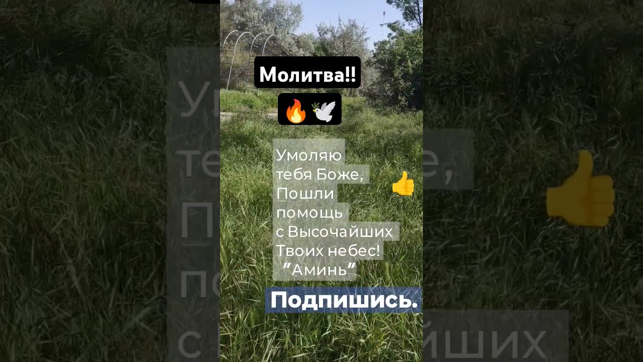 #молитвы#обряды#природа#цветы #ретуалы #шепотки #традиции #flowers #любовь #цветы #народныеприметы