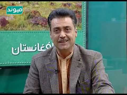 ممتاز استاد موسیقی