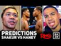 WHO WINS! Boxing Pros DEBATE Shakur Stevenson vs Devin Haney Fight