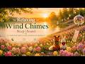 Sleep to Gentle Wind Chimes in a Tulip Field | Relaxing Nature Sounds for Deep Sleep #windchimes