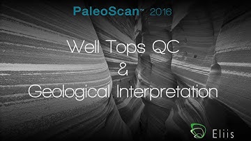 Tutorial - Well Top QC and Geological Interpretation - PaleoScan™ 2016