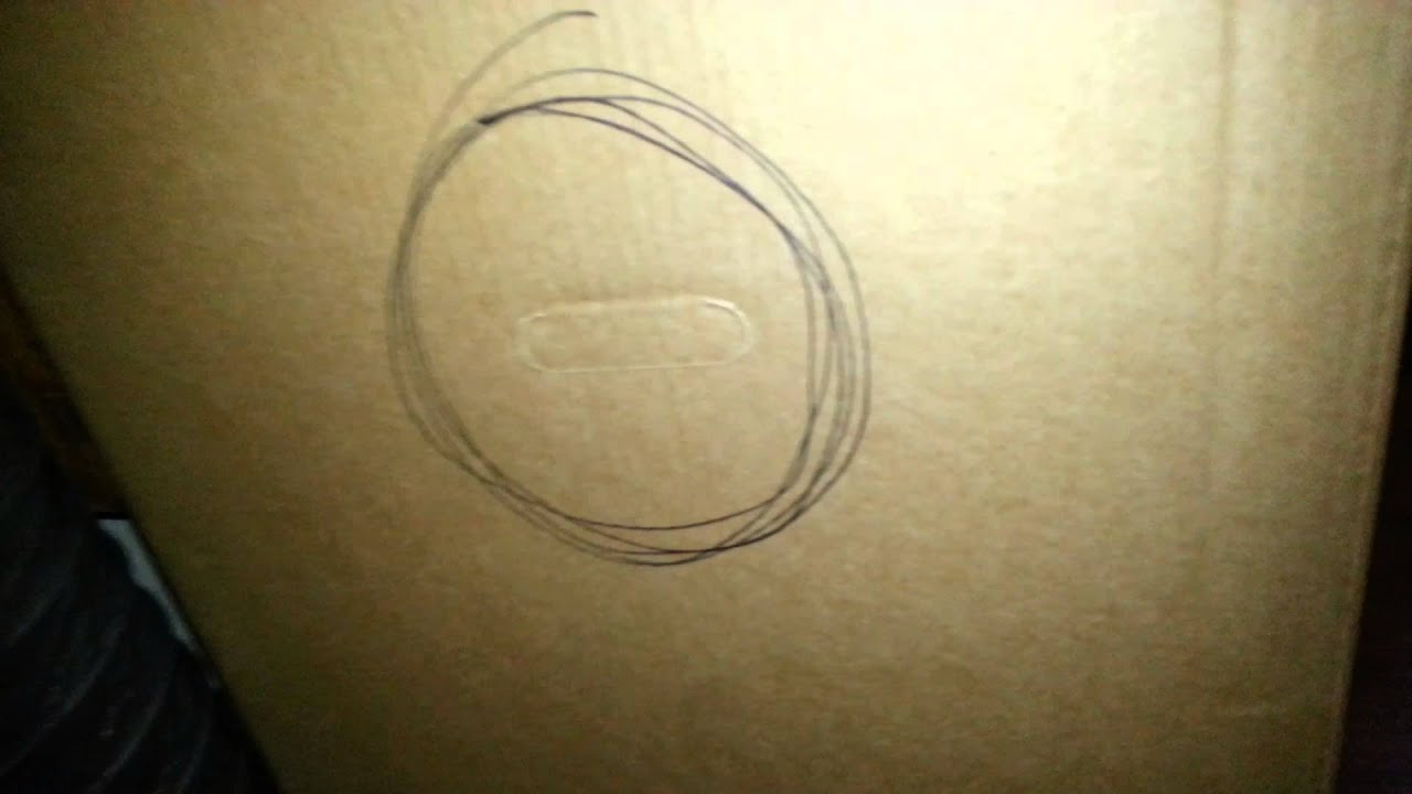 Micro Grow CFL- 2 weeks till budding