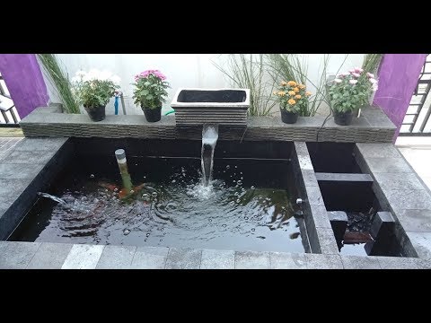 Pembuatan Kolam  Ikan  Koi Sederhana  YouTube