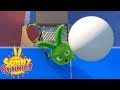 Cartoons For Children SUNNY BUNNIES PING PONG Funny Cartoons For Children 